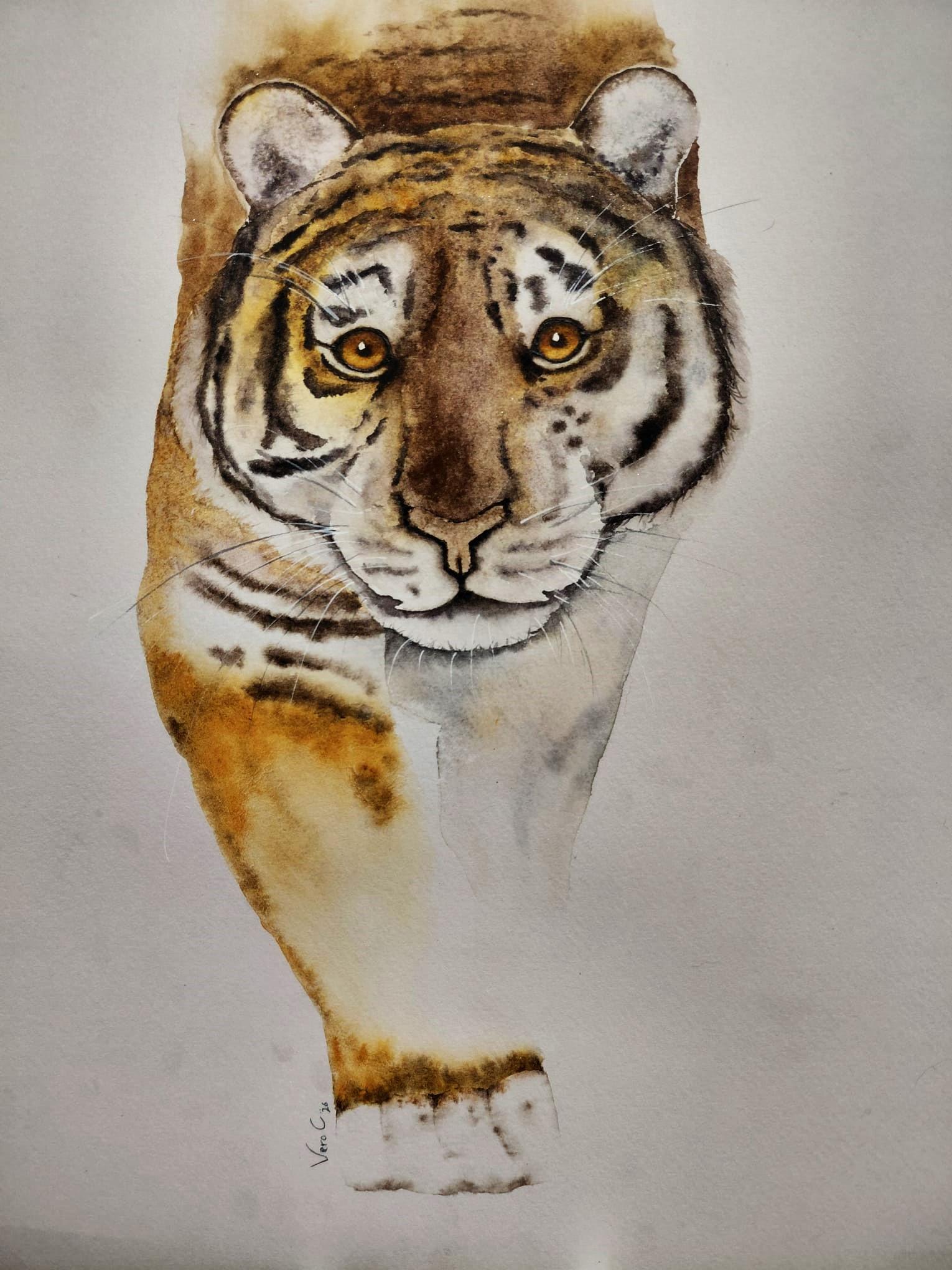 Tiger - image 1 - student project