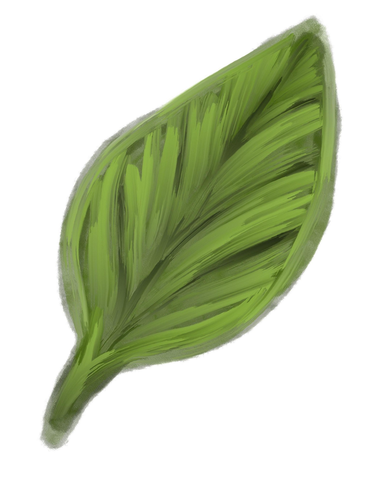 Leaves - image 1 - student project