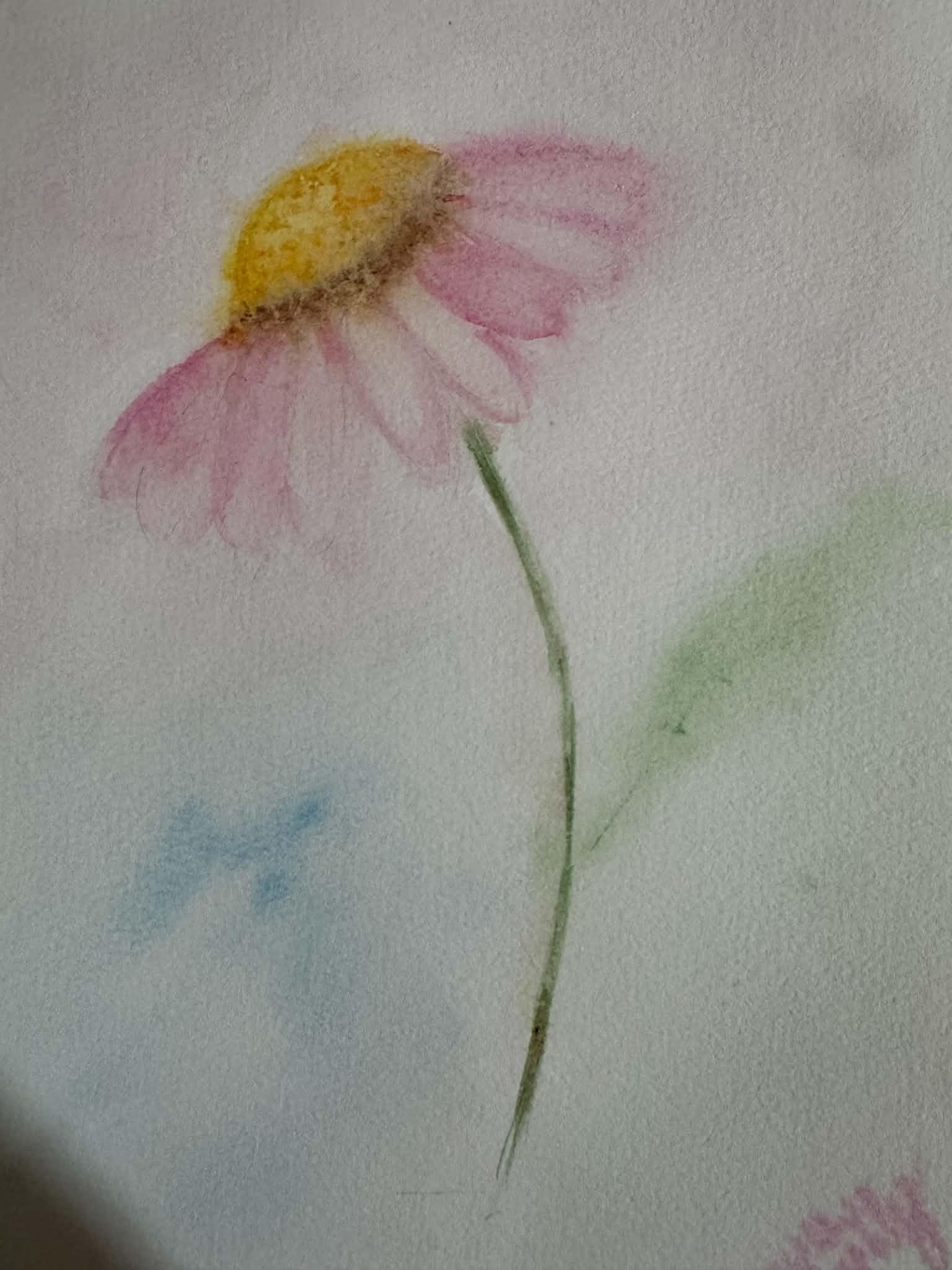 loose coneflower-atmospheric watercolor with soft background - image 1 - student project