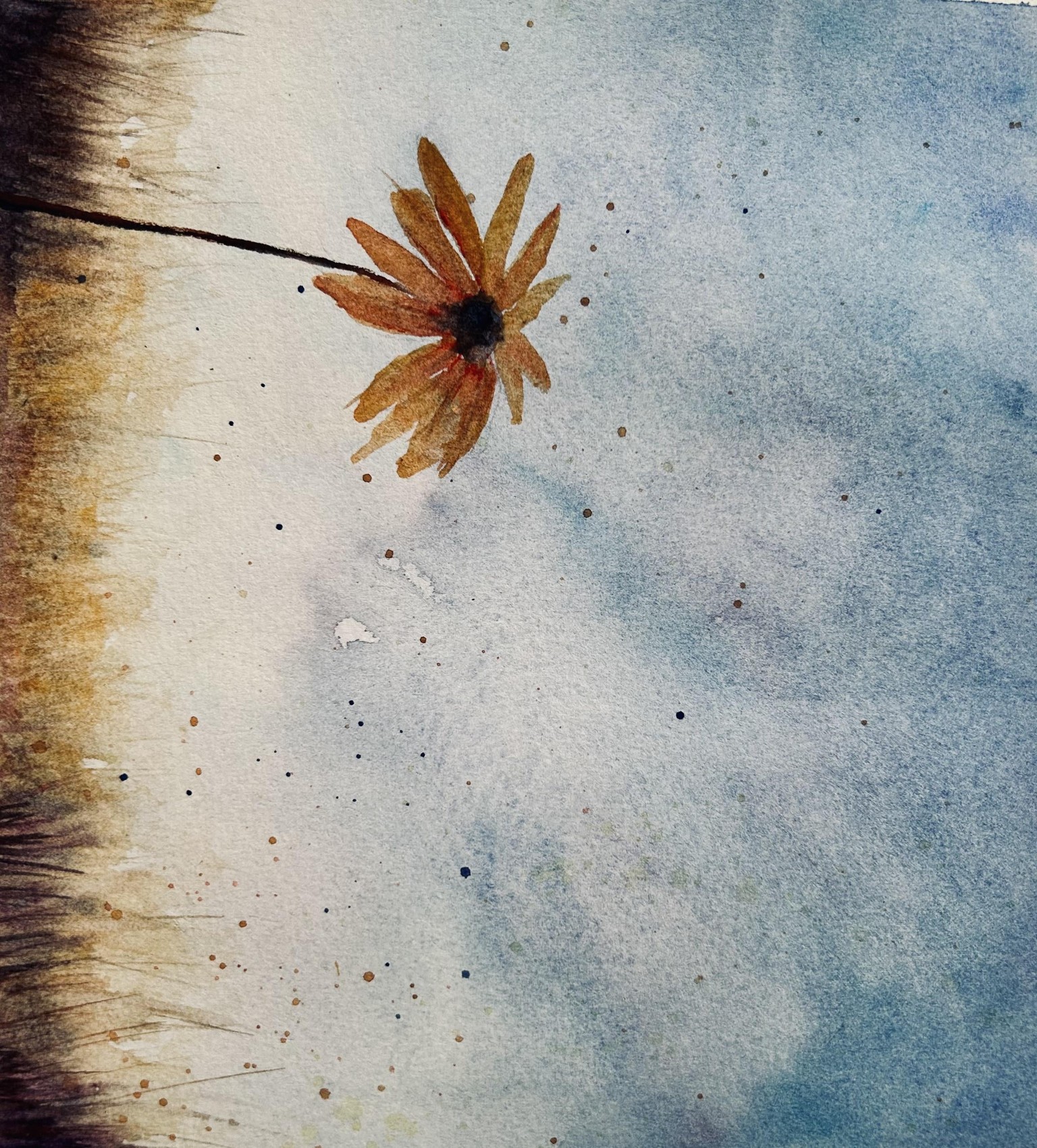 Daisy Landscape - image 2 - student project