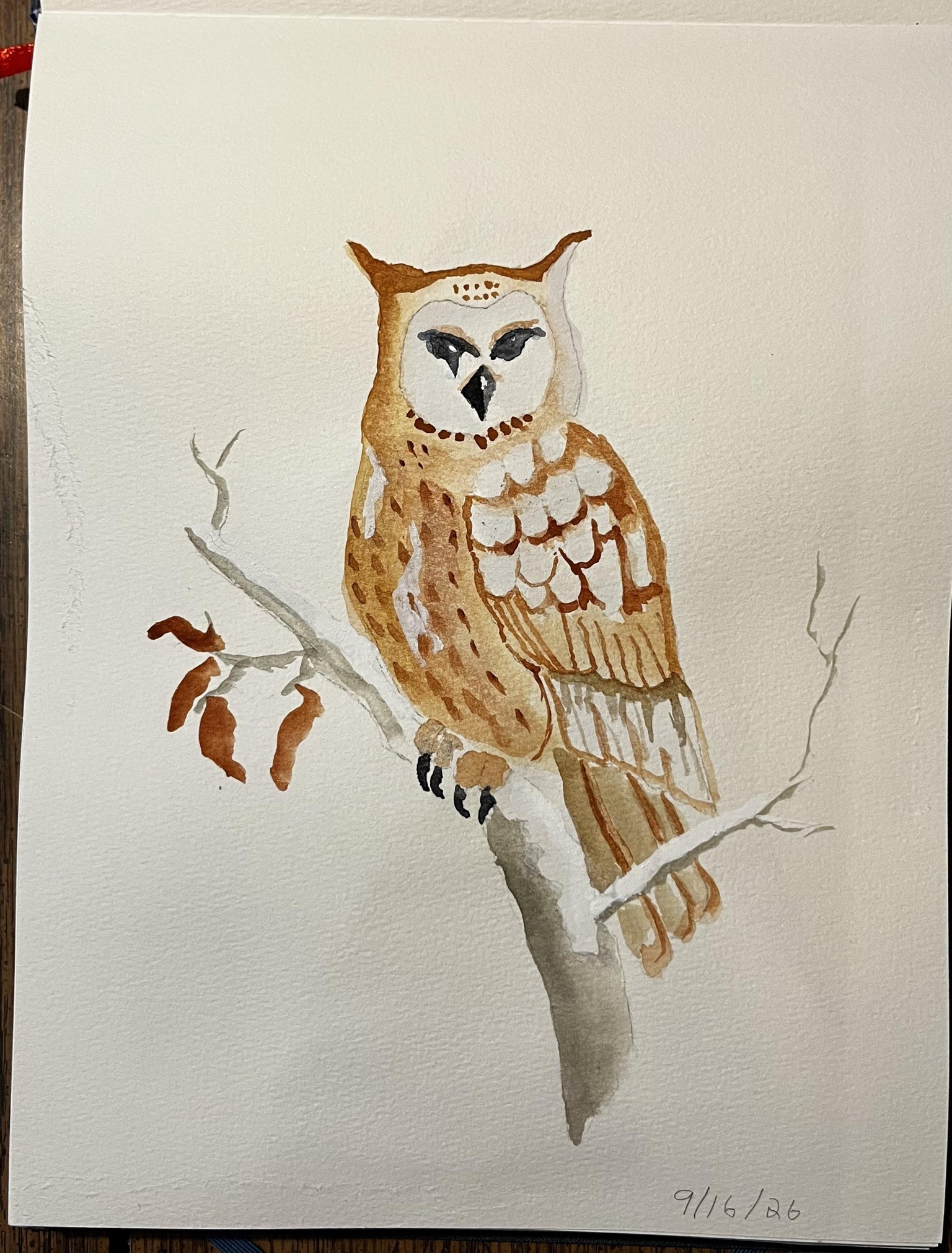 Birds - image 7 - student project