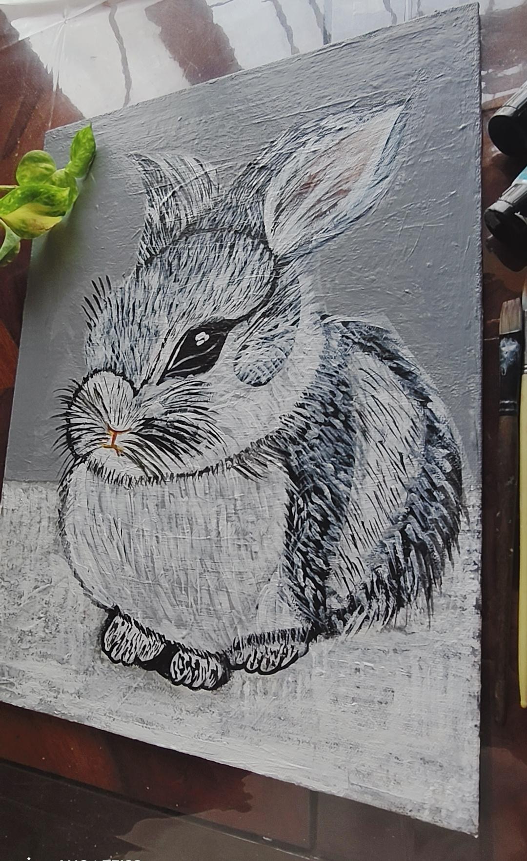 Peter rabbit🐇 - image 4 - student project