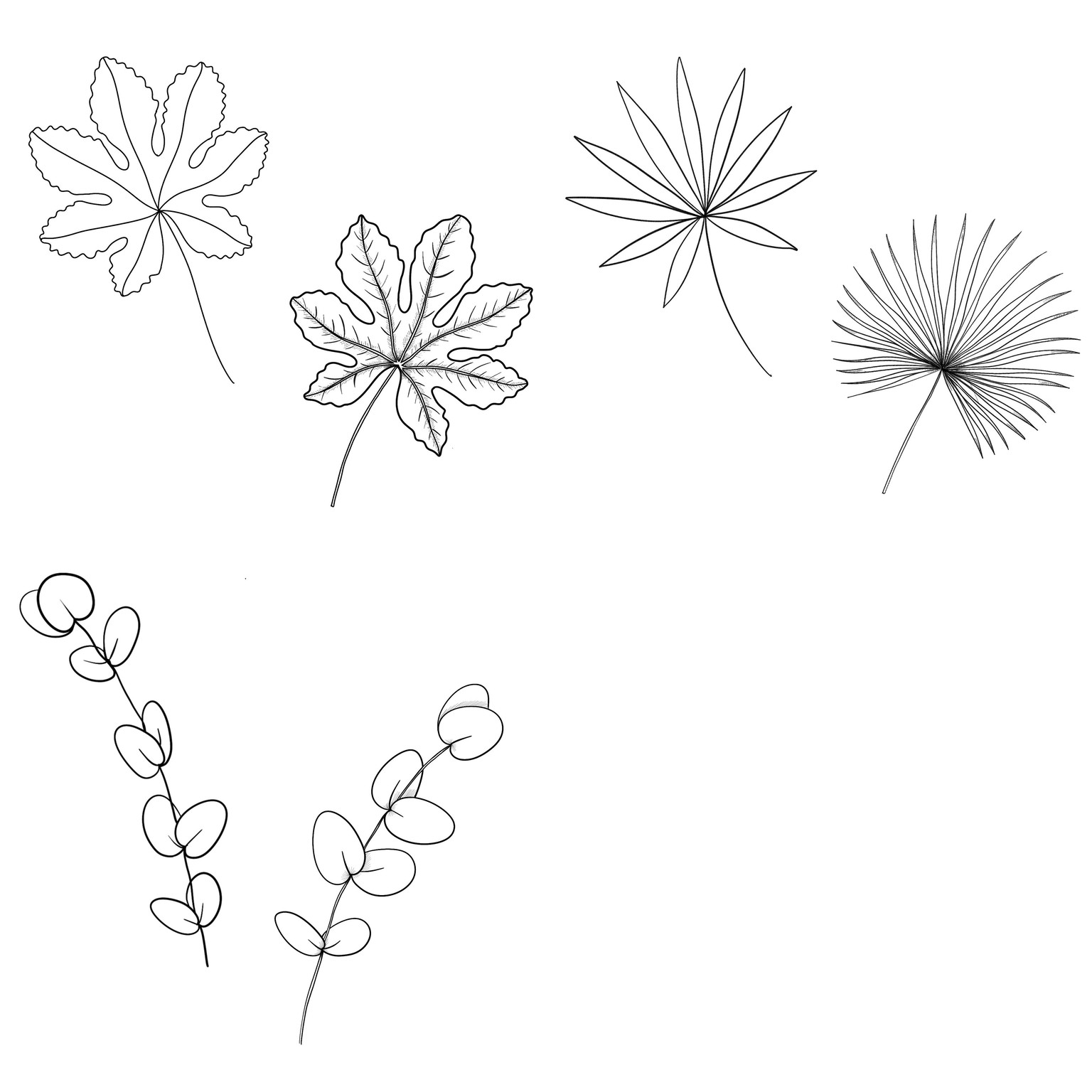 Tropical leaves - image 2 - student project