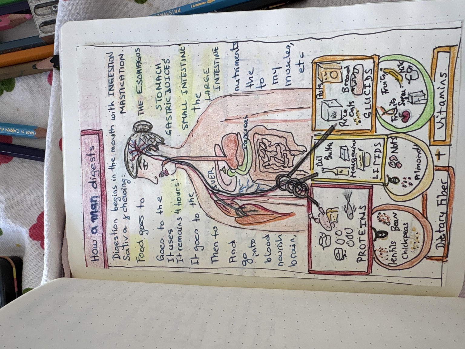 Learning - image 5 - student project