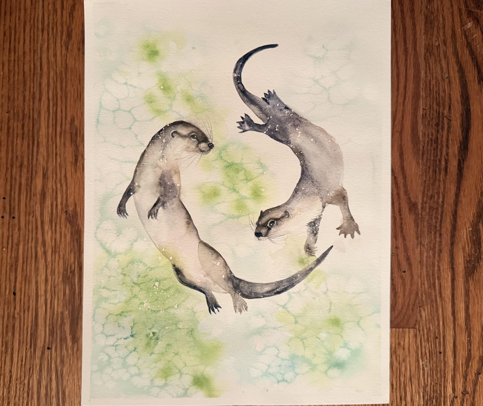Otters playing - image 1 - student project
