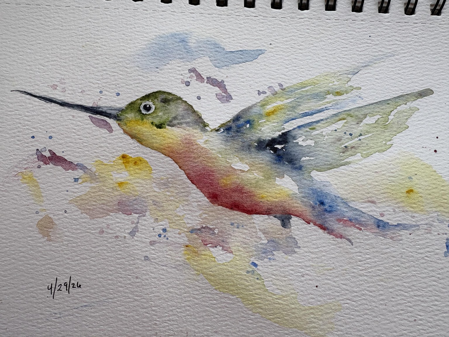 Hummingbird - image 1 - student project