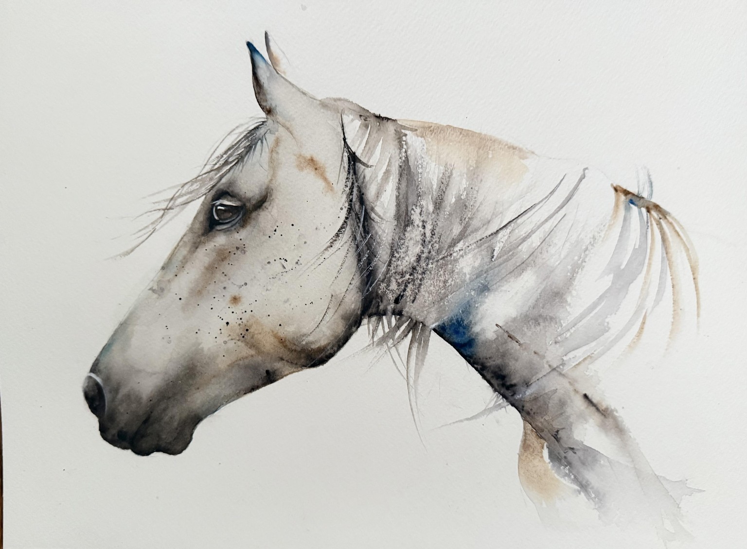 Italian Horse - image 1 - student project