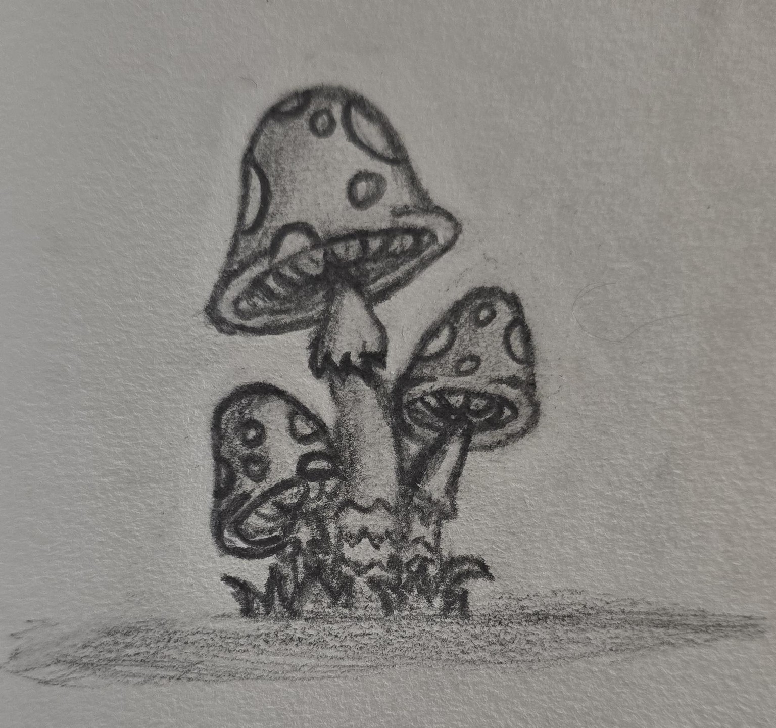 My mushrooms - image 1 - student project