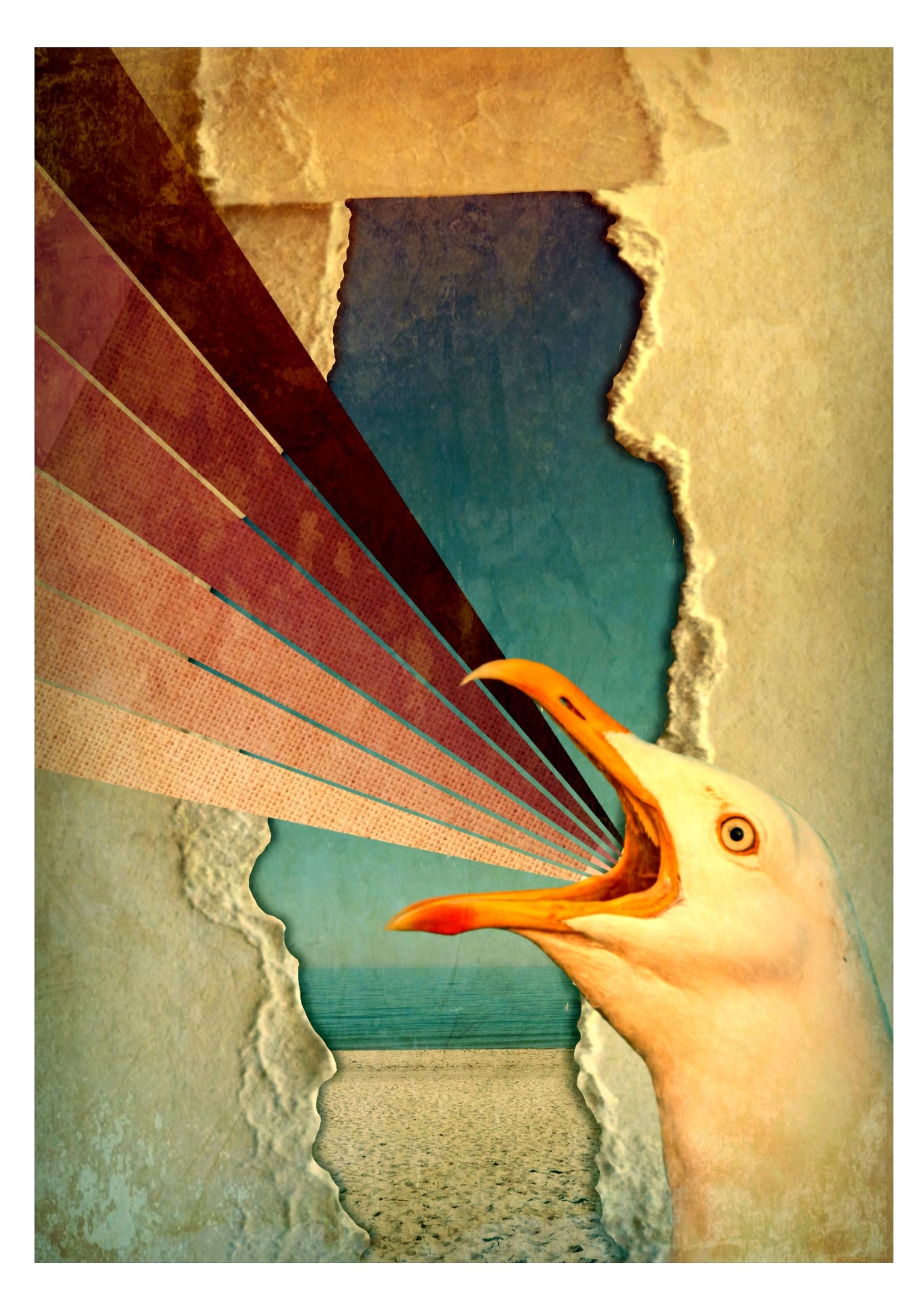 My collages - image 6 - student project