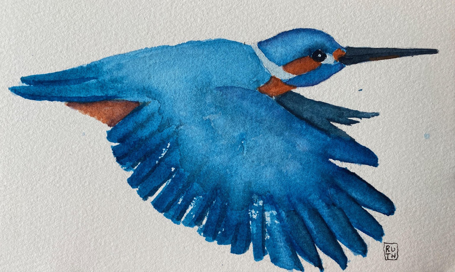 2 Kingfisher tries - image 2 - student project