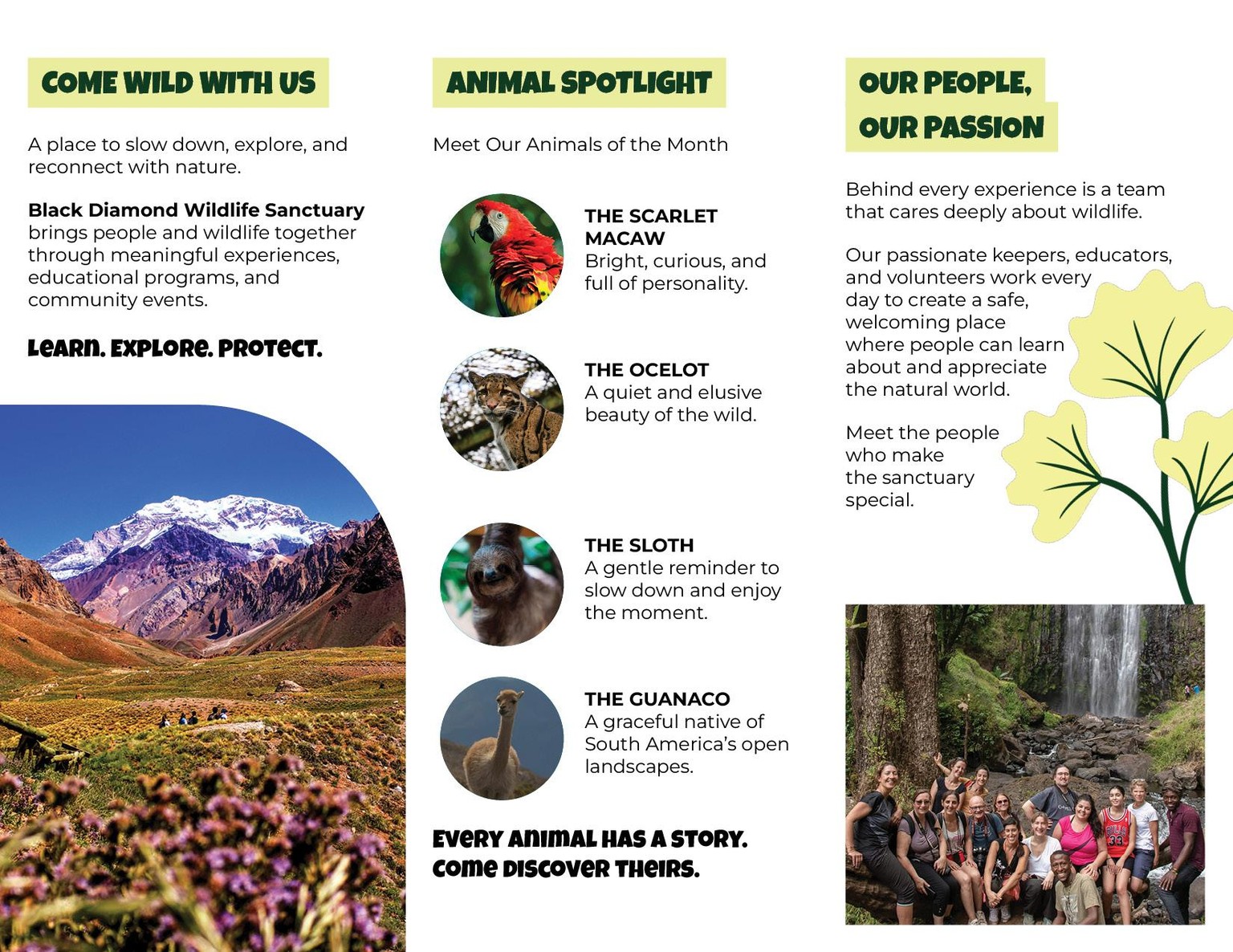 Black Diamond Wildlife Sanctuary - image 3 - student project
