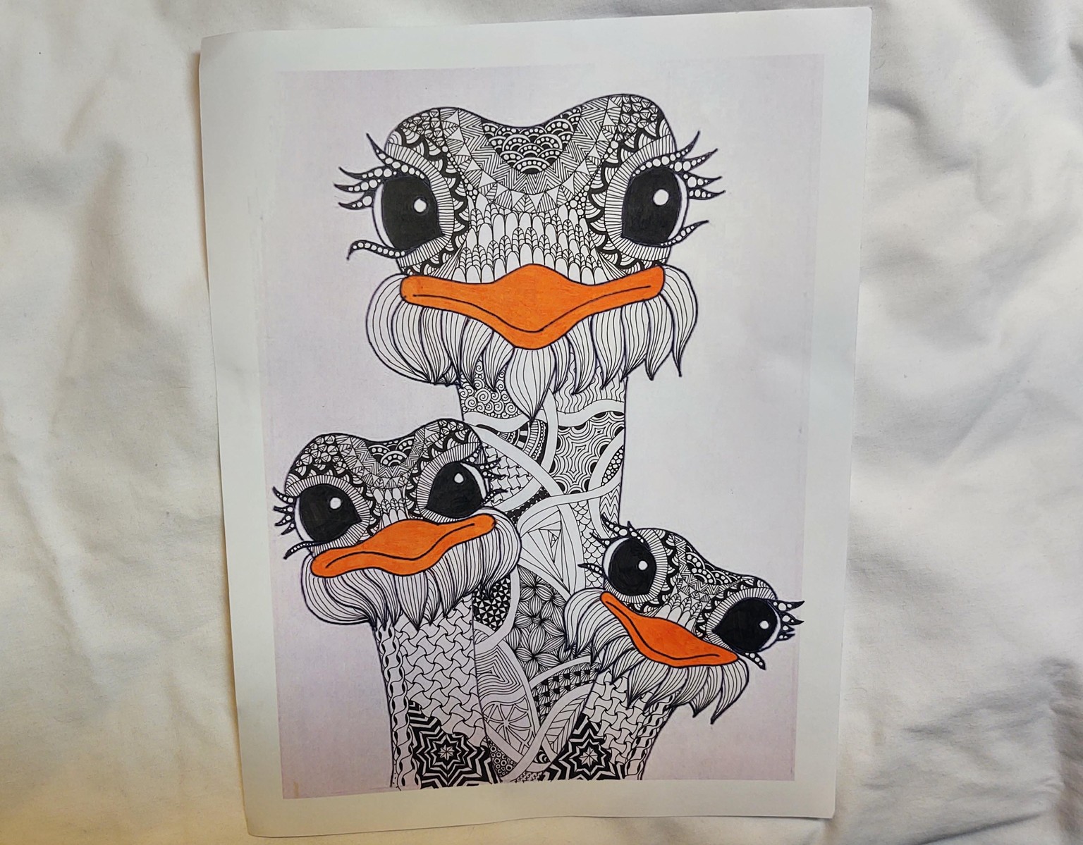 Zendoodle Ostriches - image 1 - student project