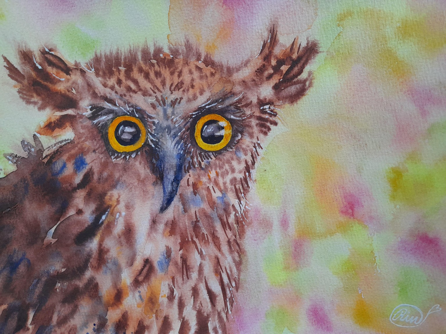 owl - image 1 - student project
