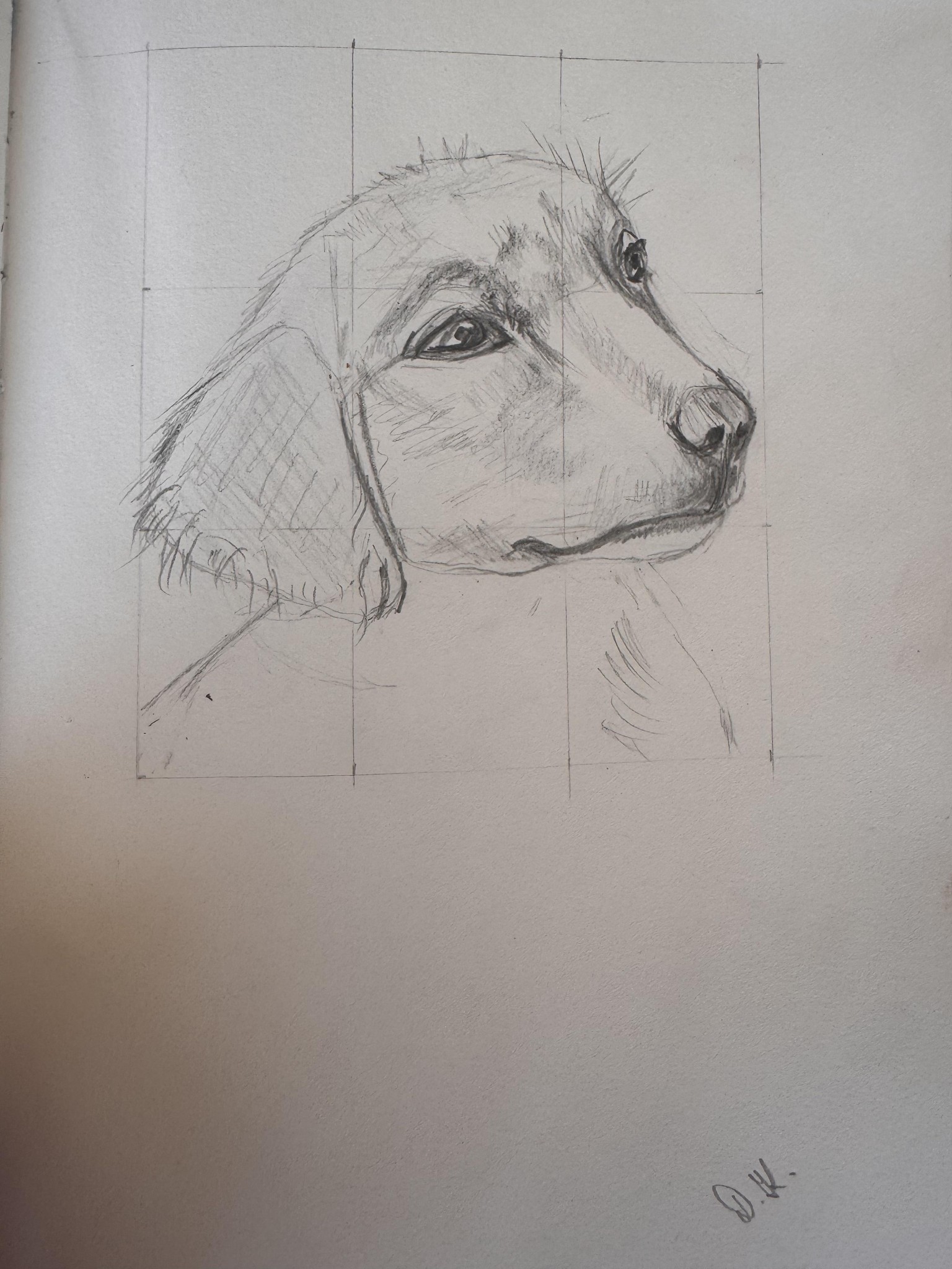 Animal Portraits - image 3 - student project