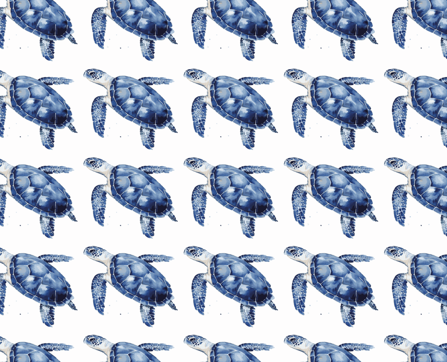 tortuga - image 3 - student project