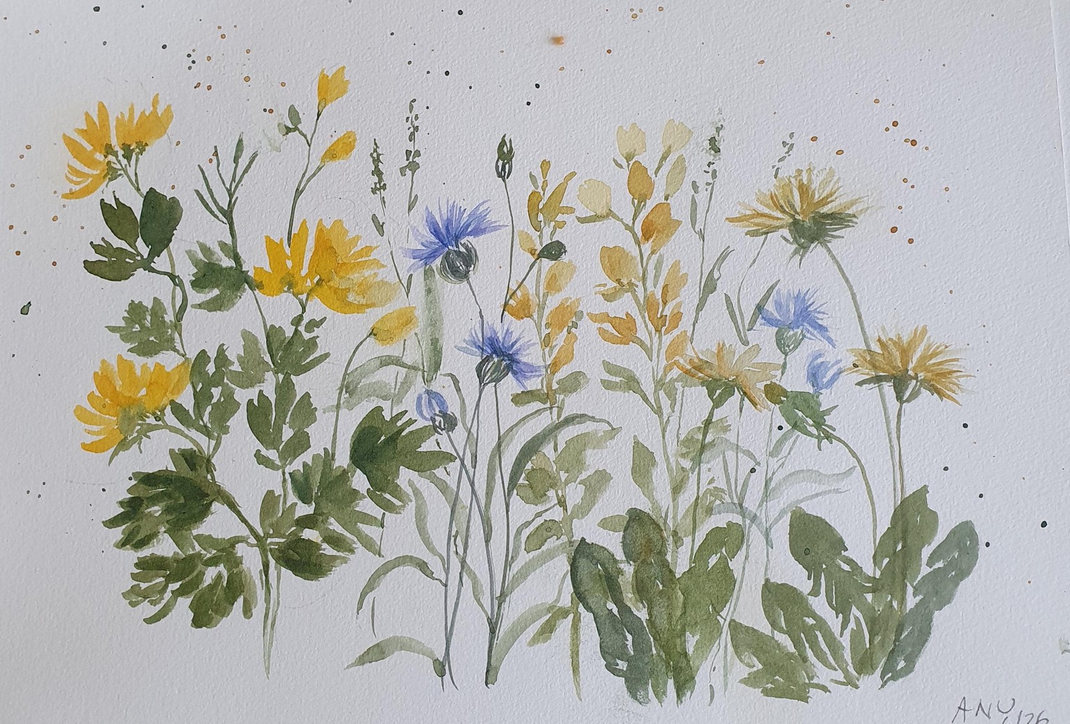 Wildflowers meadow :) - image 2 - student project