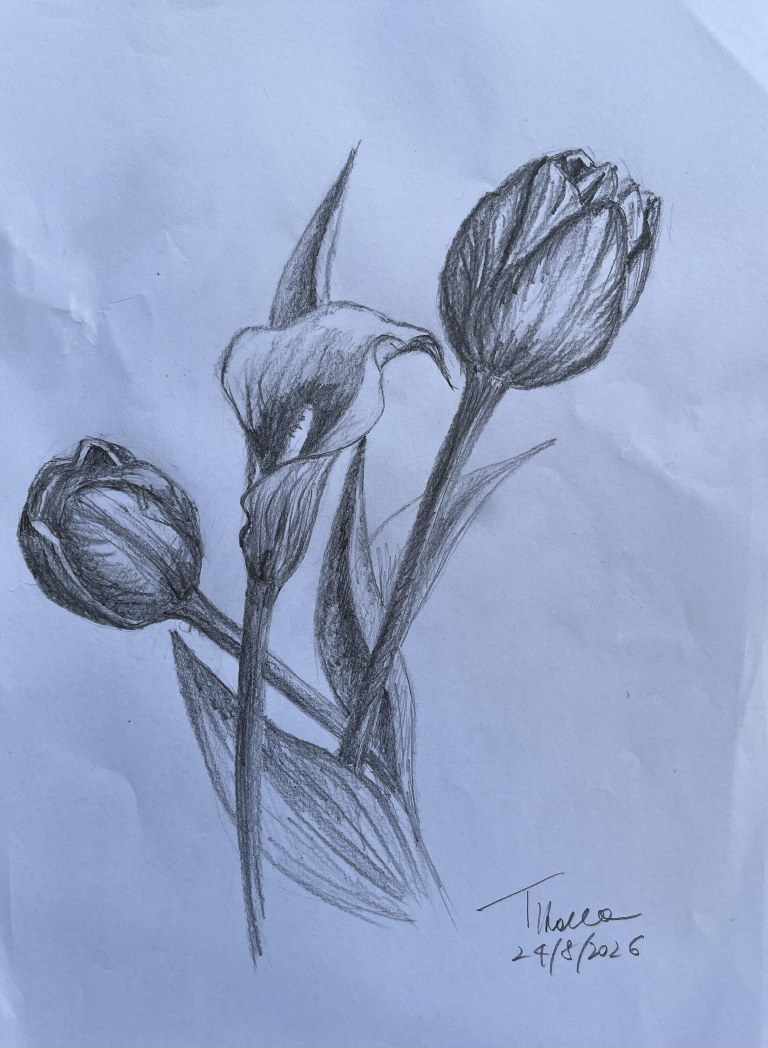 Esercizi - image 3 - student project