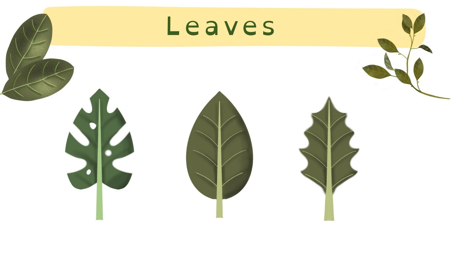 My Botanical Design Project - image 2 - student project