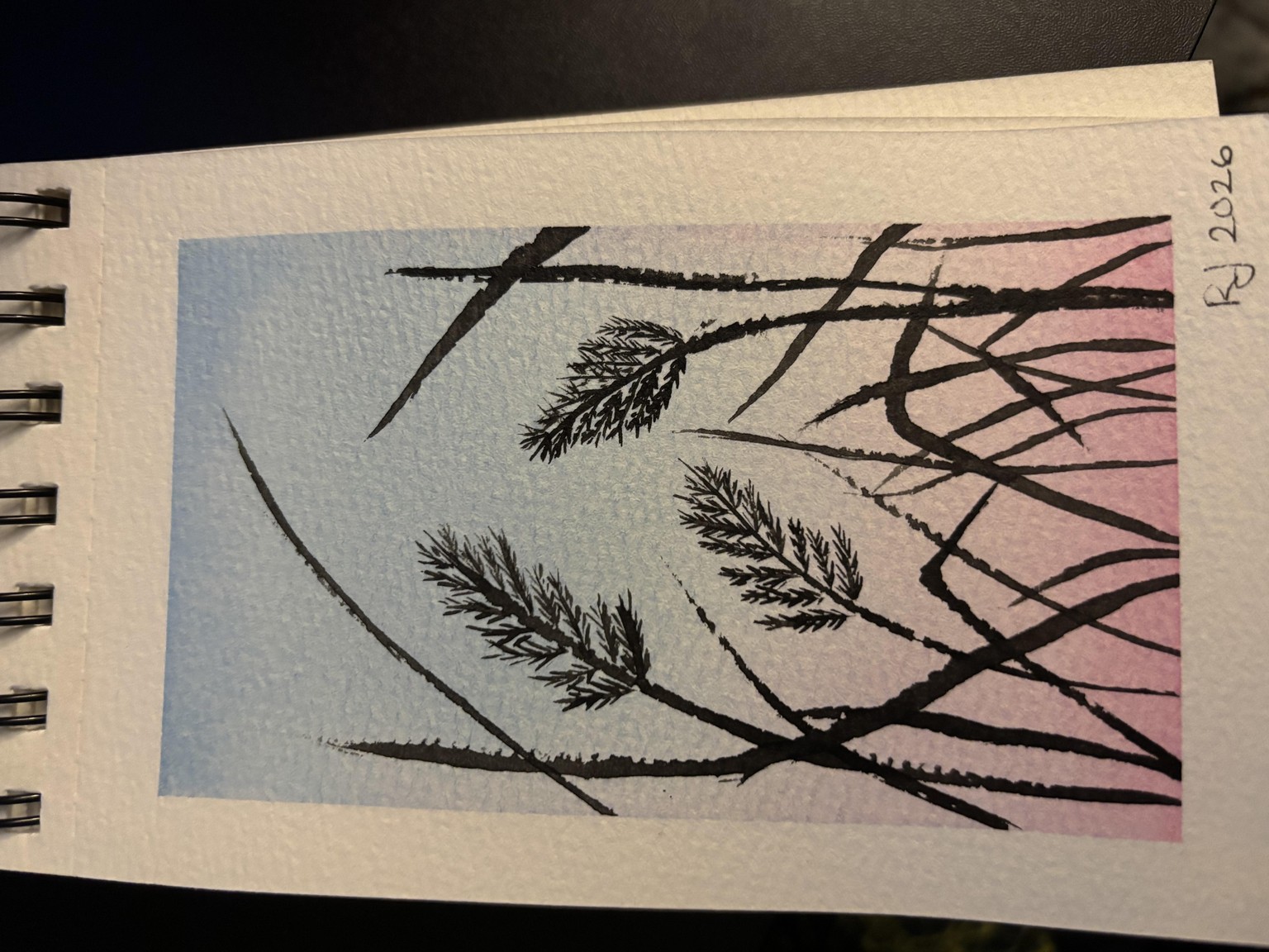Birds on wire, reeds - image 2 - student project