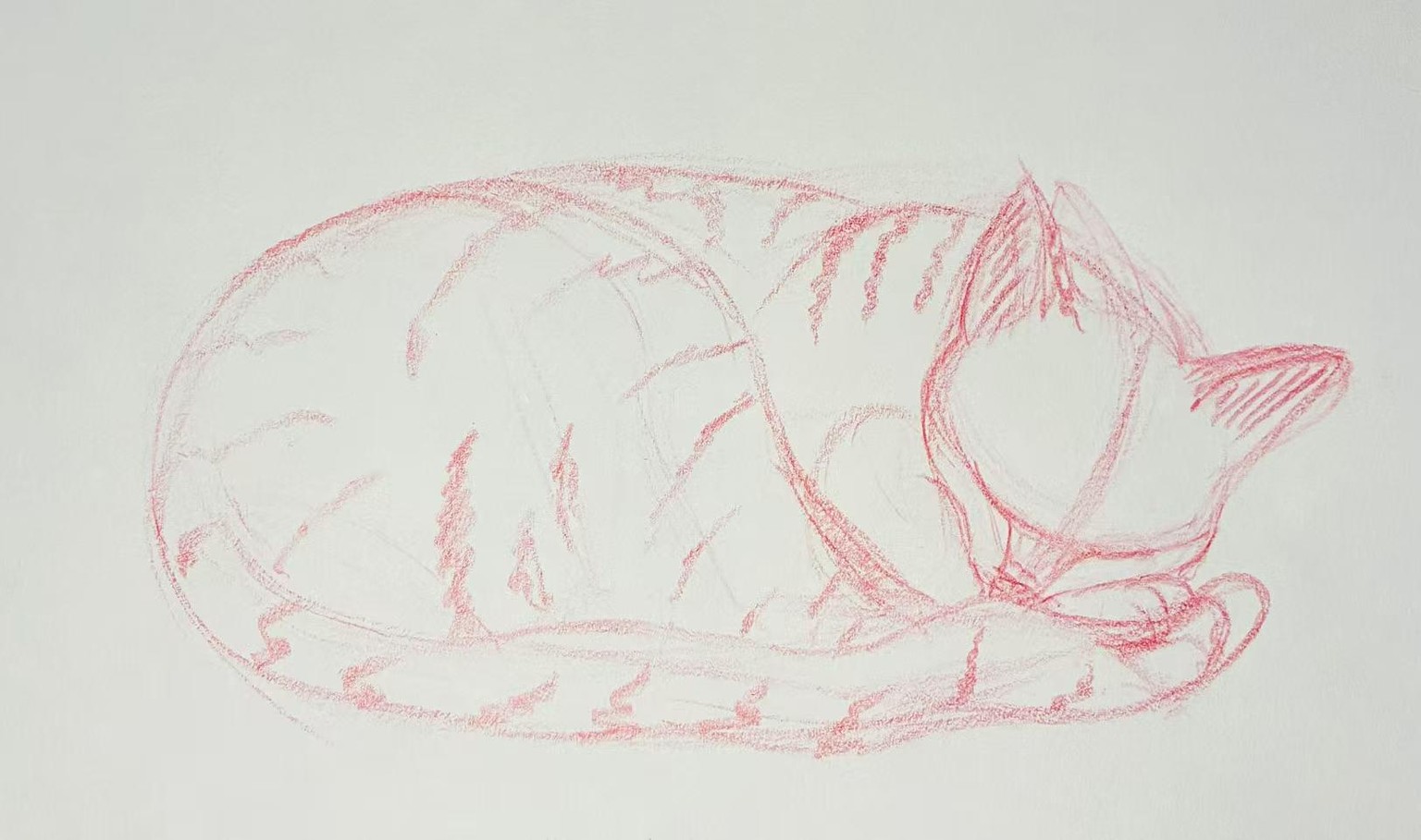 Plehtora of Cat Poses - image 1 - student project