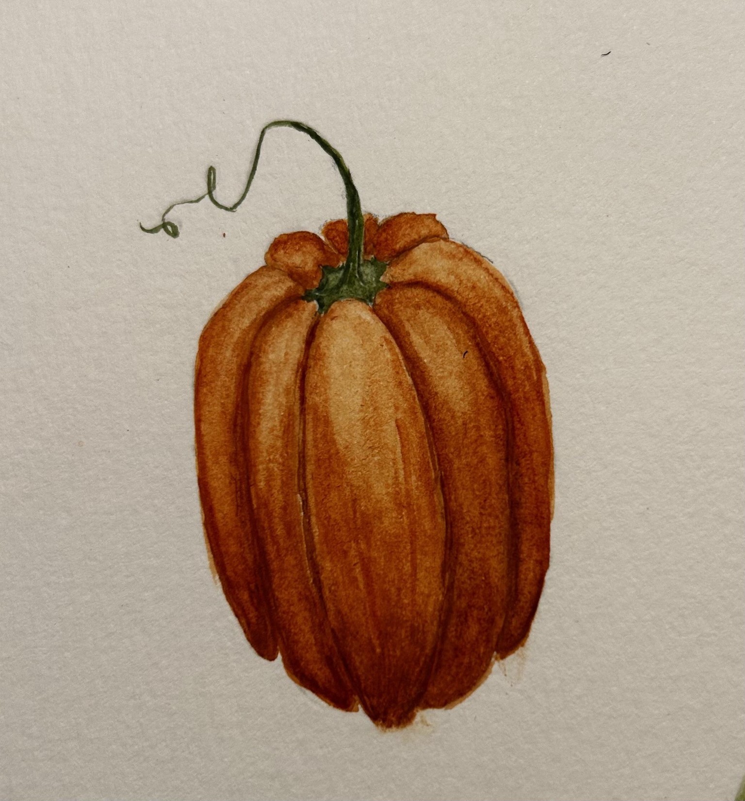 mushrooms and pumpkins - image 2 - student project