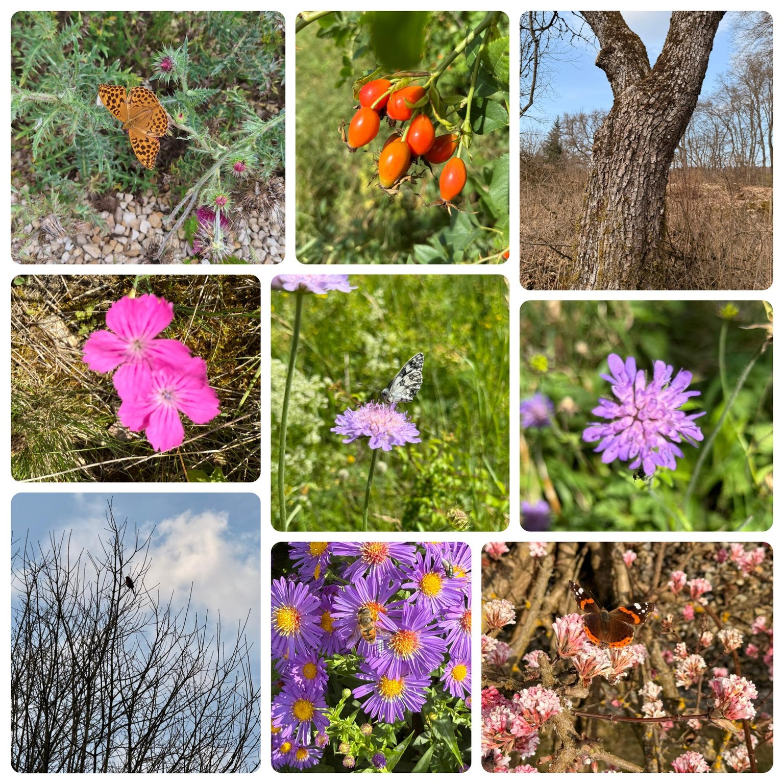 Blooming - image 2 - student project
