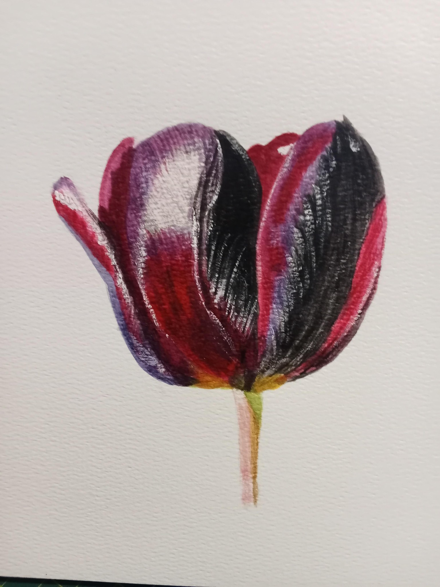 Tulip - image 1 - student project