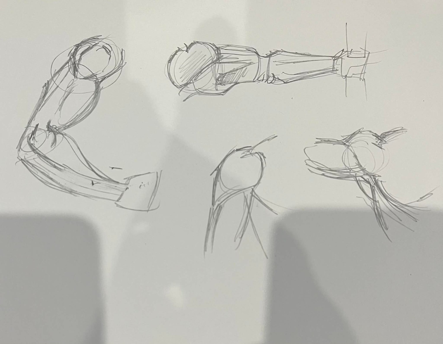 Arm Function Exercise - image 1 - student project