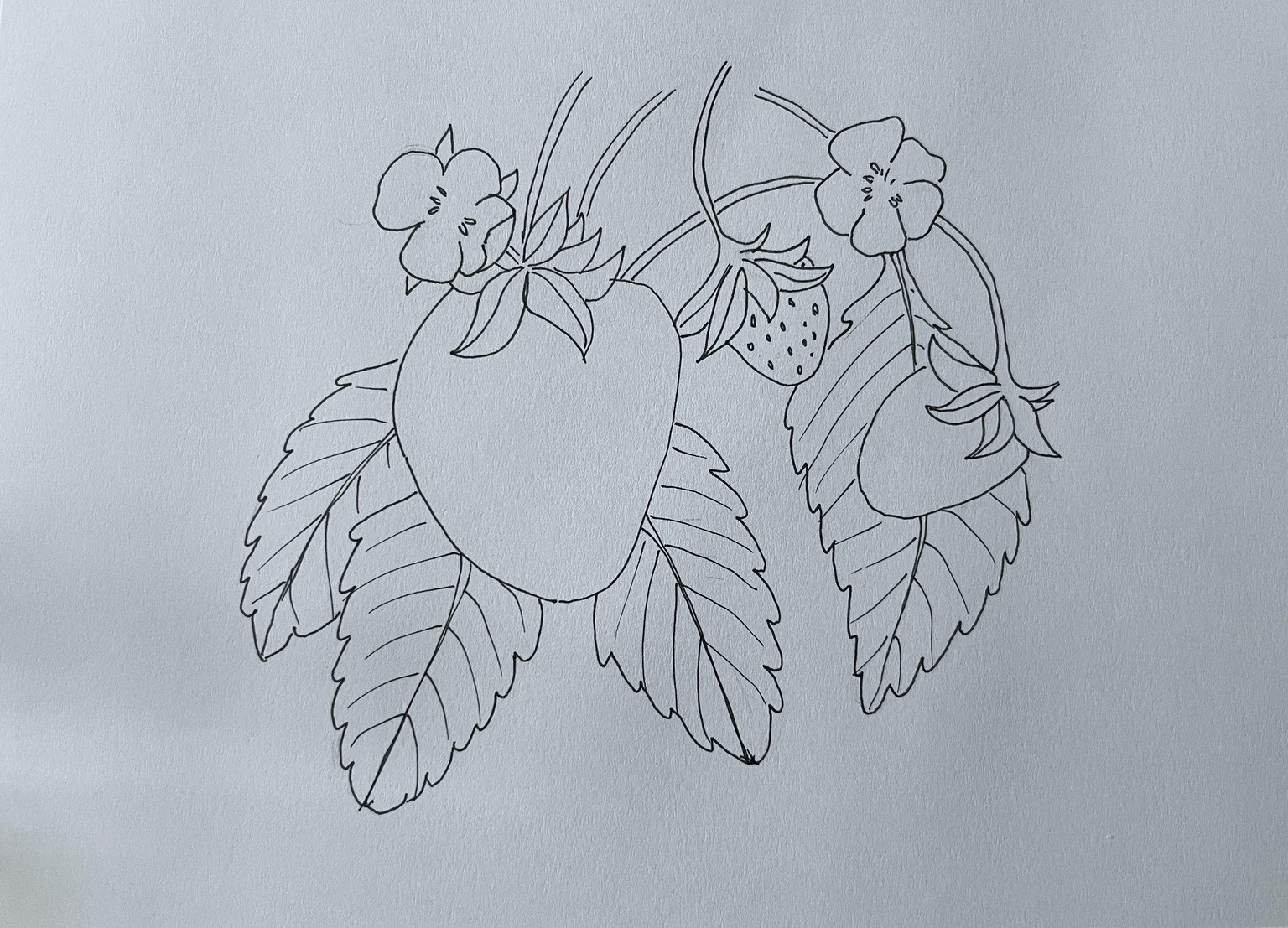 Markers - expressive fruits - image 2 - student project
