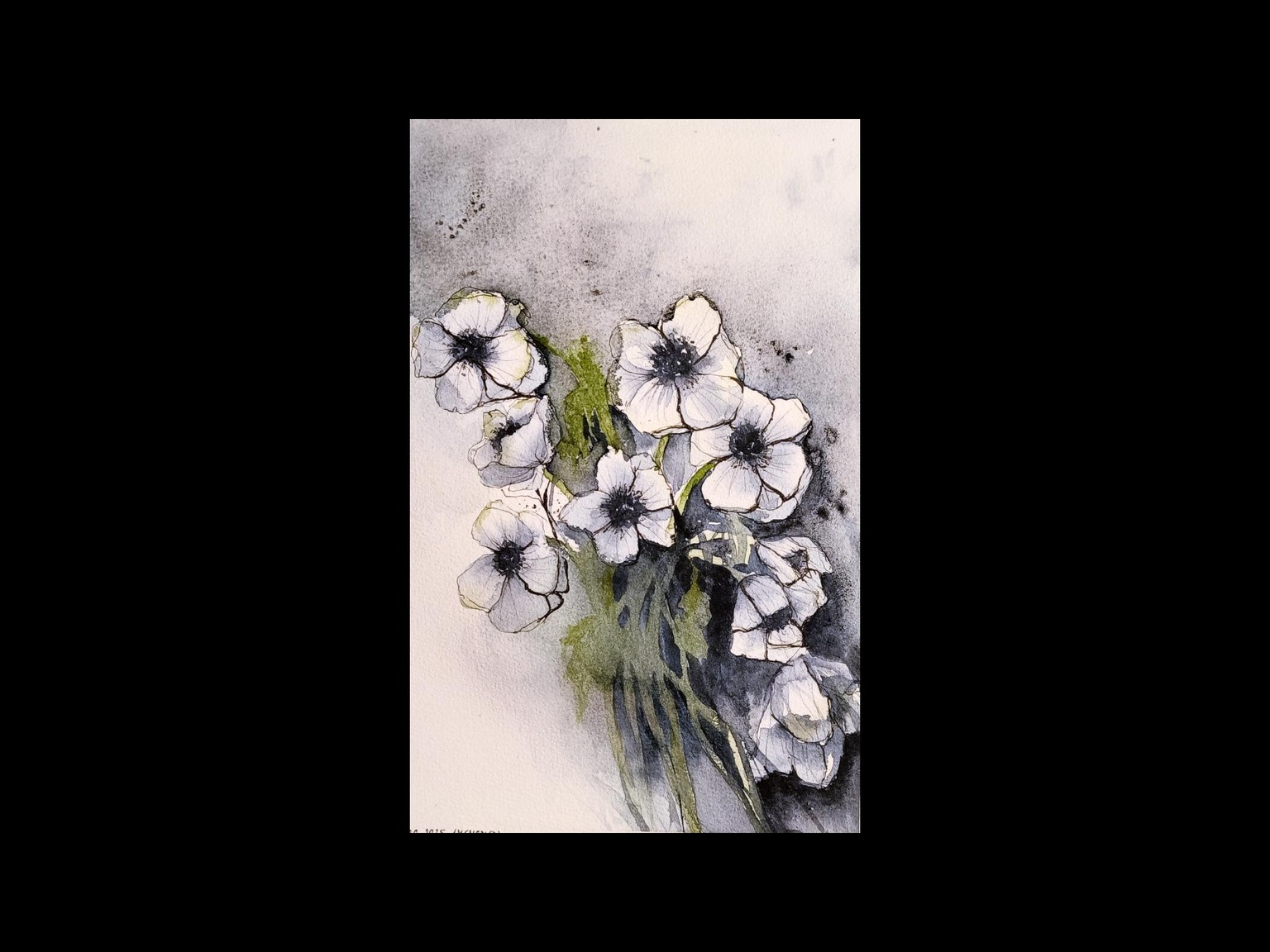Aquarell - Anemonen - image 1 - student project