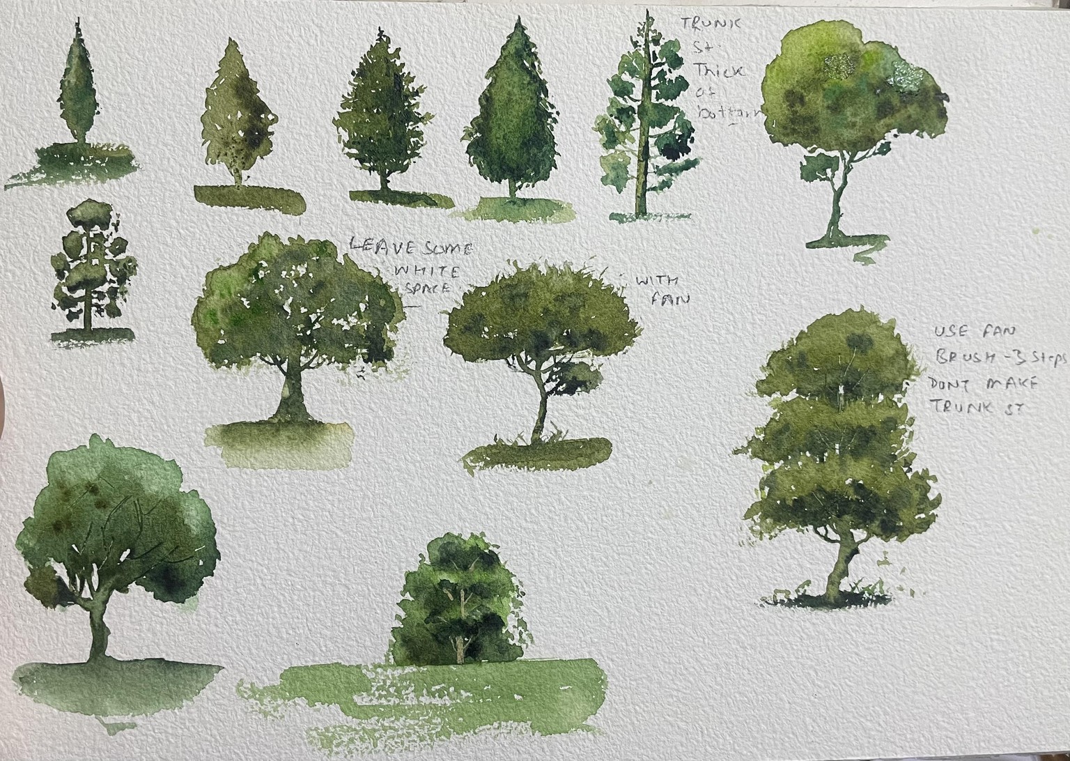 Trees - image 2 - student project