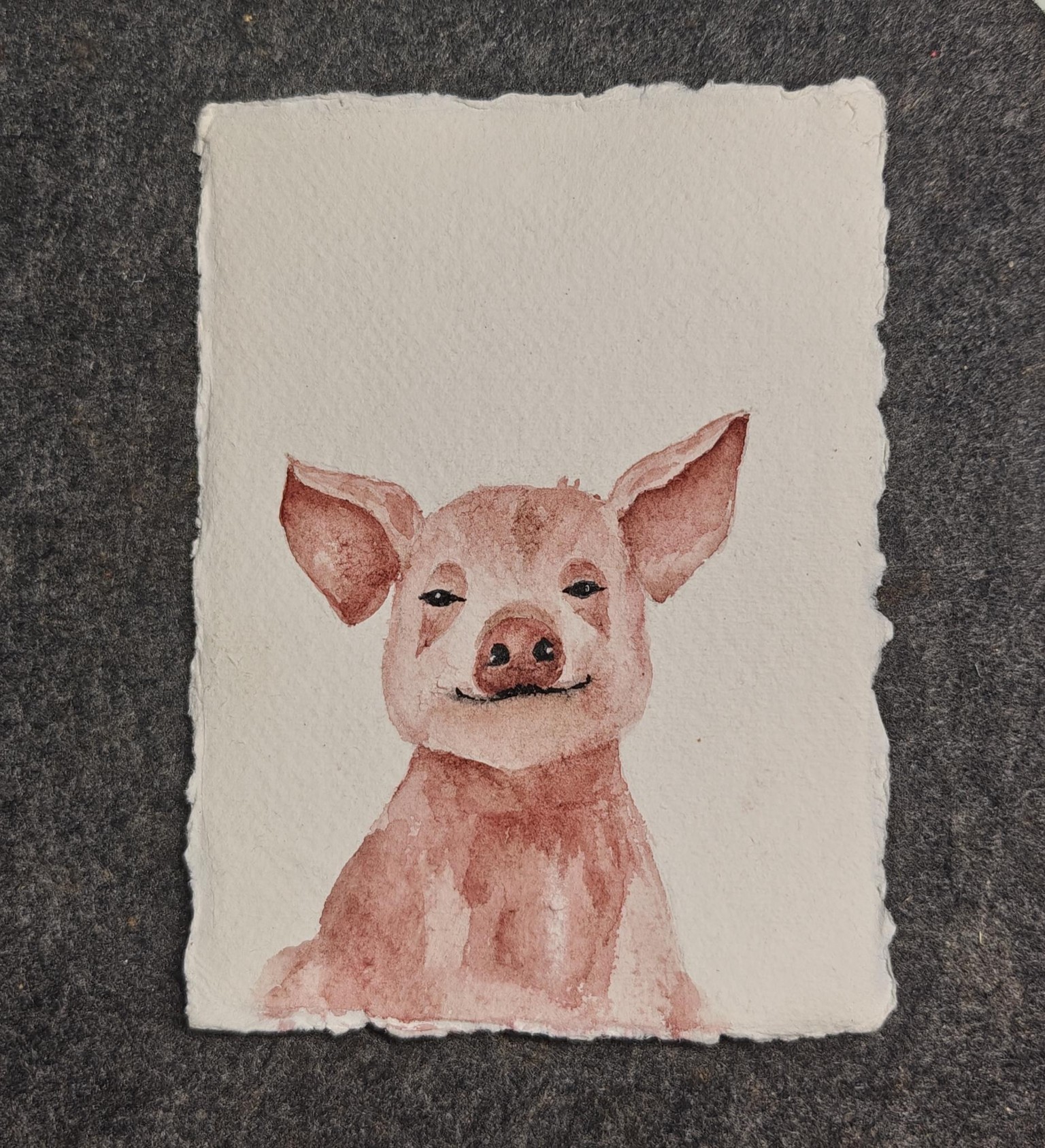 Cute little animals - image 3 - student project