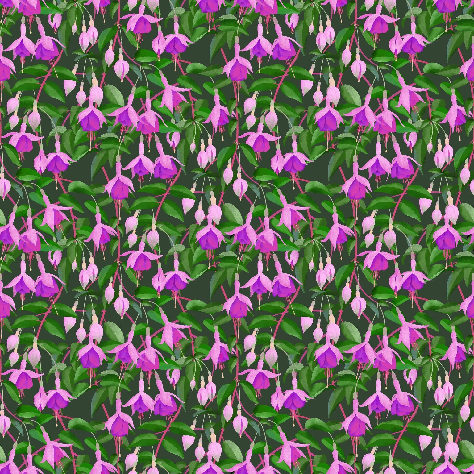 Trailing fuchsia - image 1 - student project