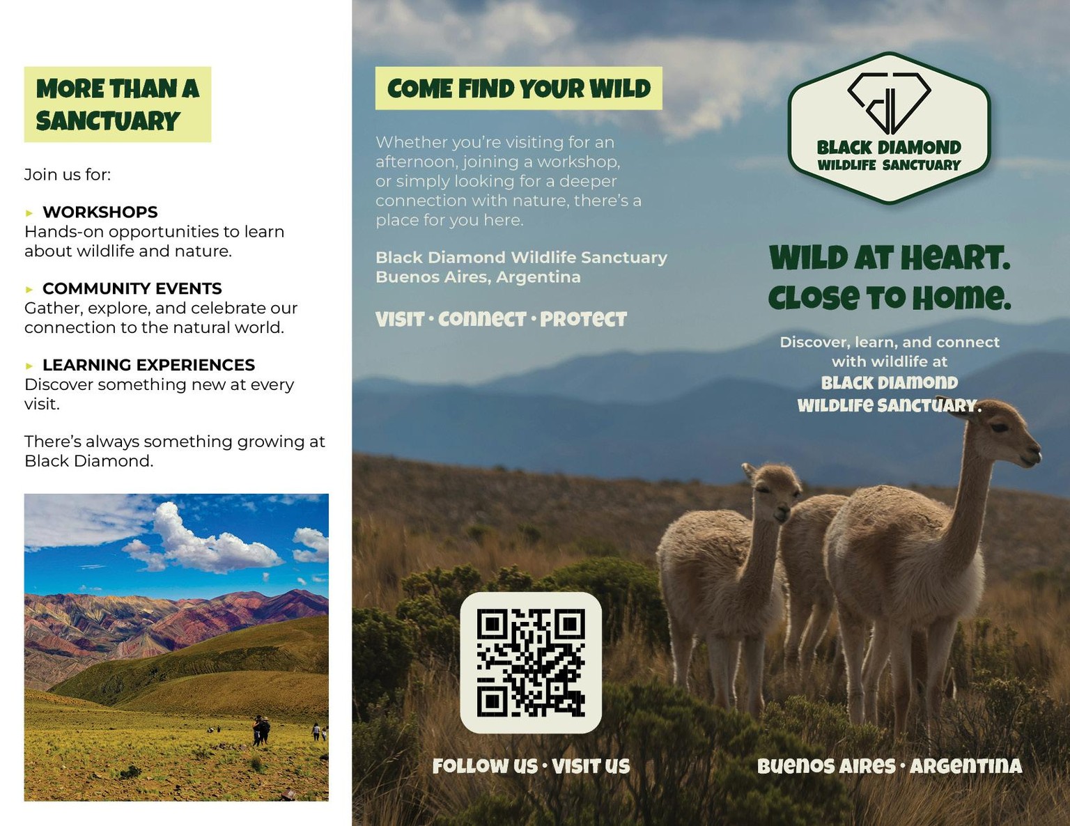 Black Diamond Wildlife Sanctuary - image 2 - student project