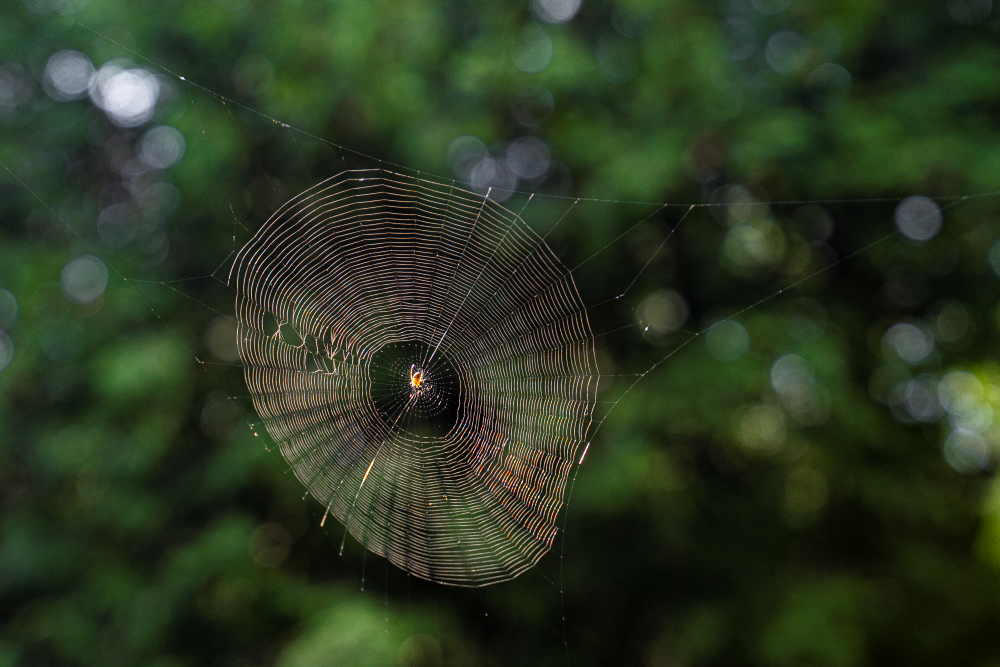 Outside - image 1 - student project