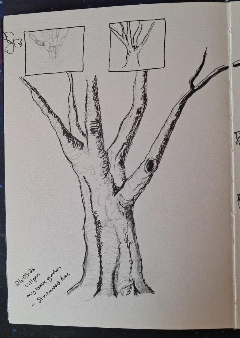 Garden Escape - image 2 - student project
