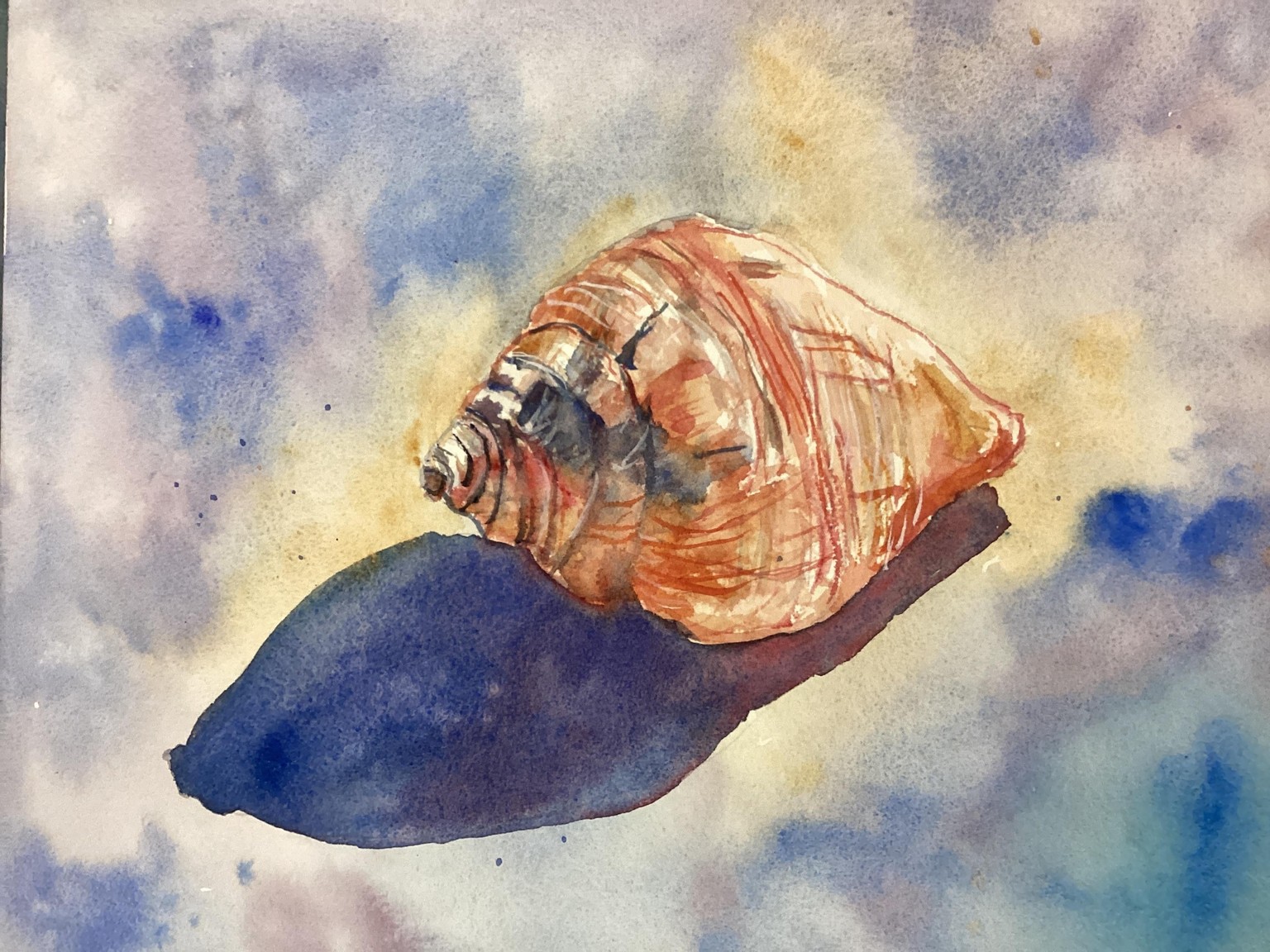 Shell, a Will Elliston tutorial - image 1 - student project