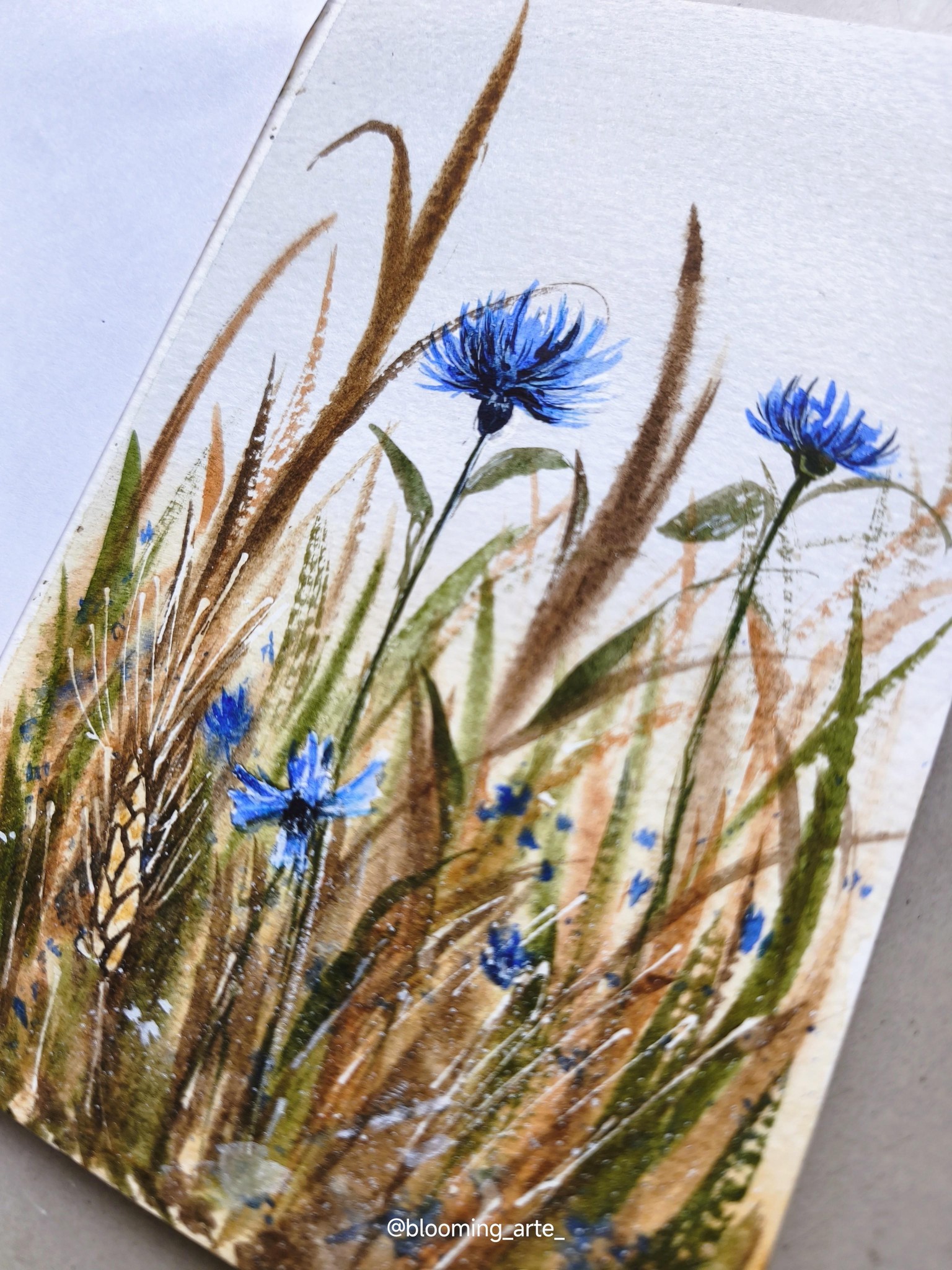 Loose cornflowers - image 2 - student project