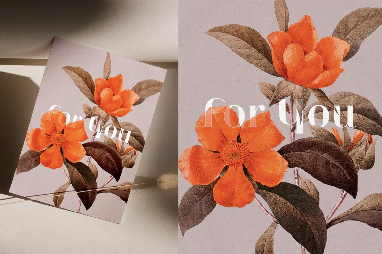 Botanical Greeting Cards - image 13 - student project