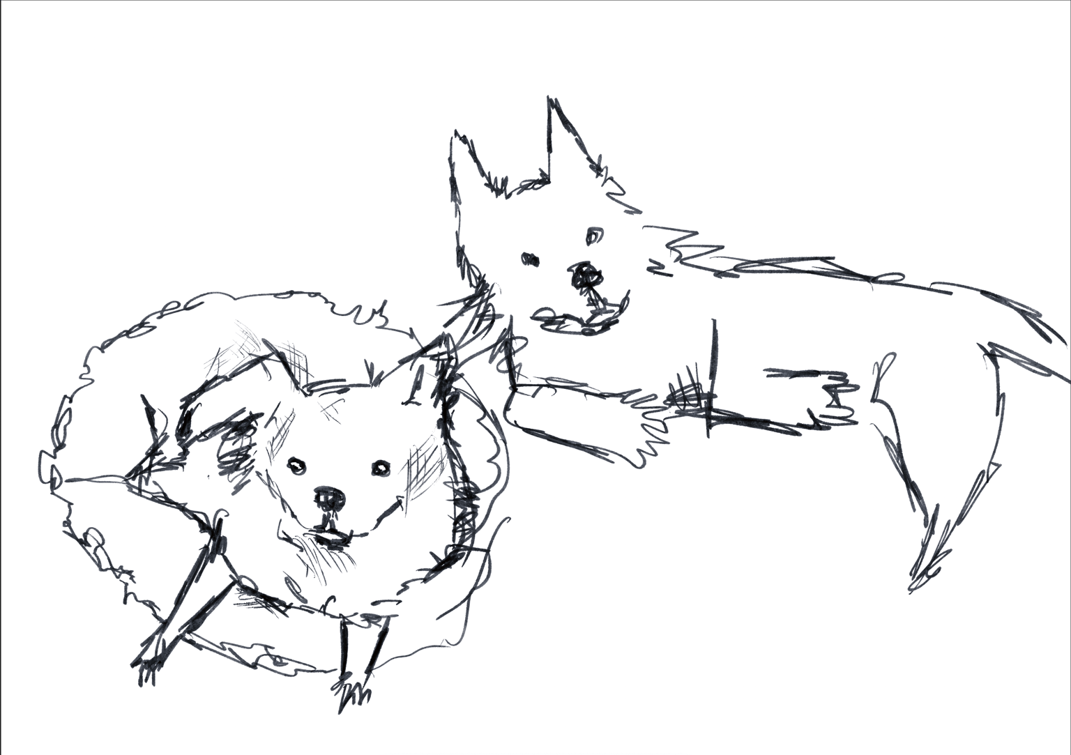 Doodle dogs - image 2 - student project