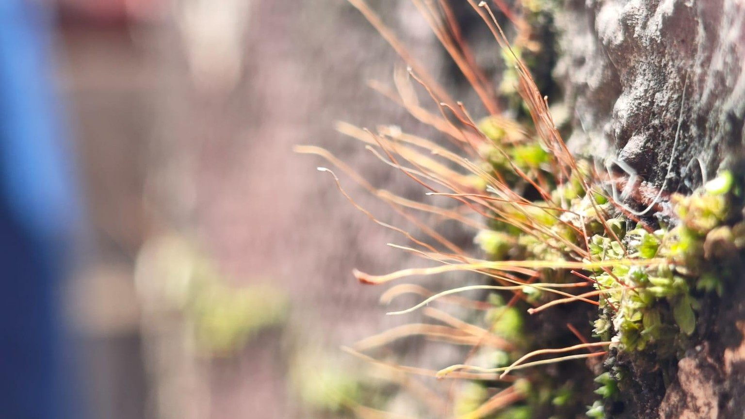 Microflora - image 1 - student project
