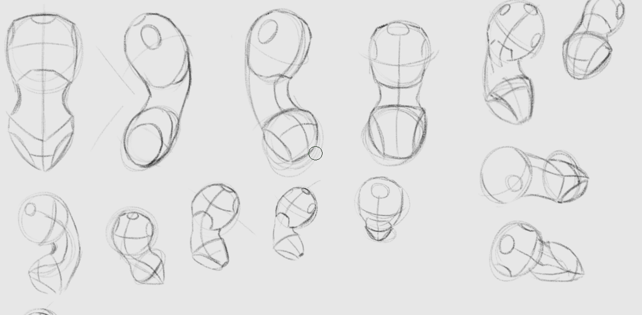 Female torso + female torso studies - image 4 - student project