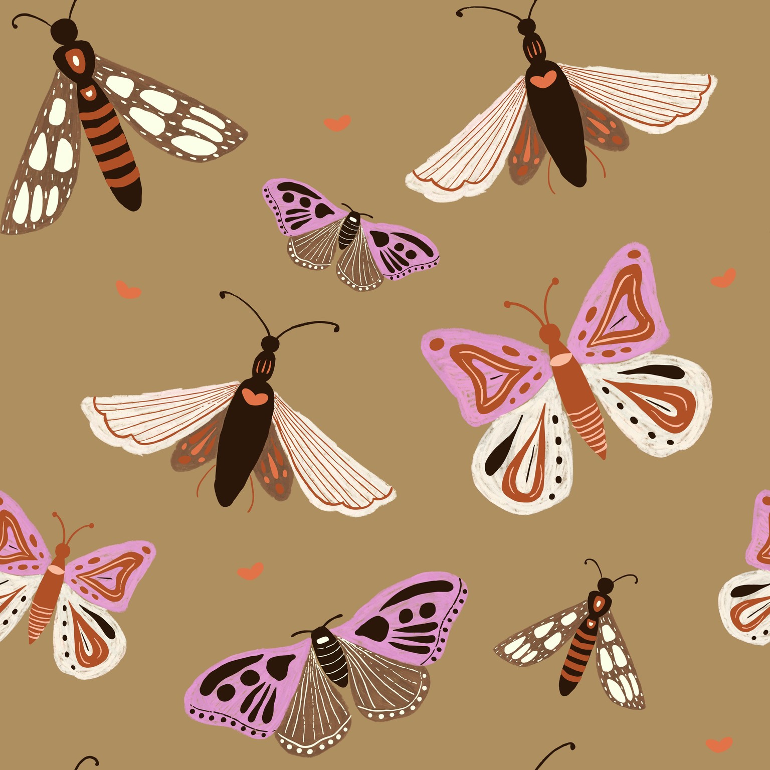 Moths - image 2 - student project