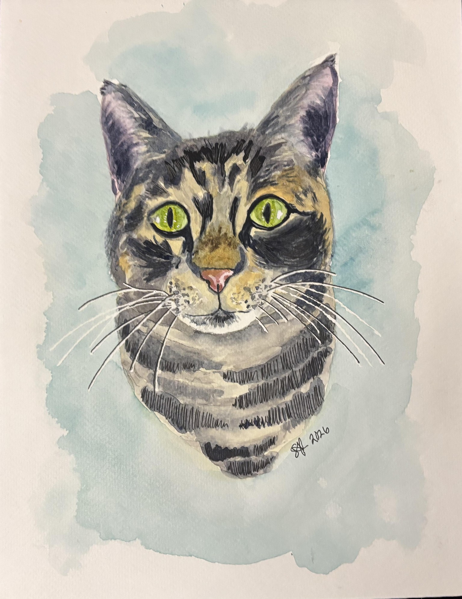 Tabby cat - image 1 - student project