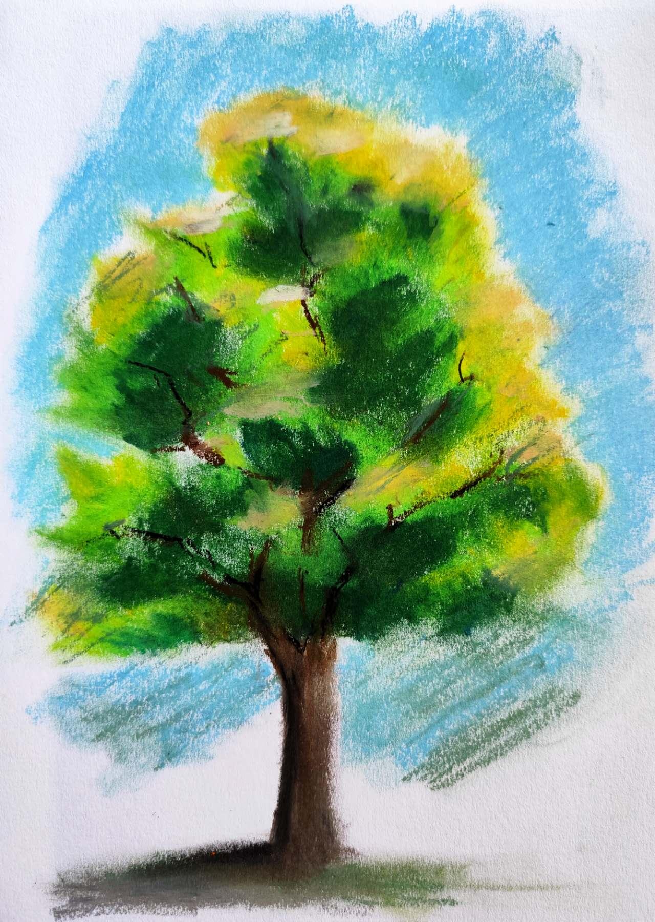 A tree in oil pastel - image 1 - student project