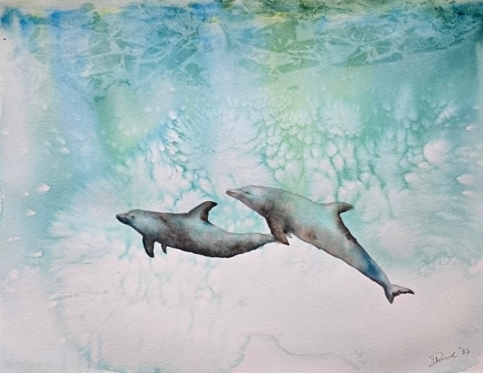 Dolphins - image 1 - student project
