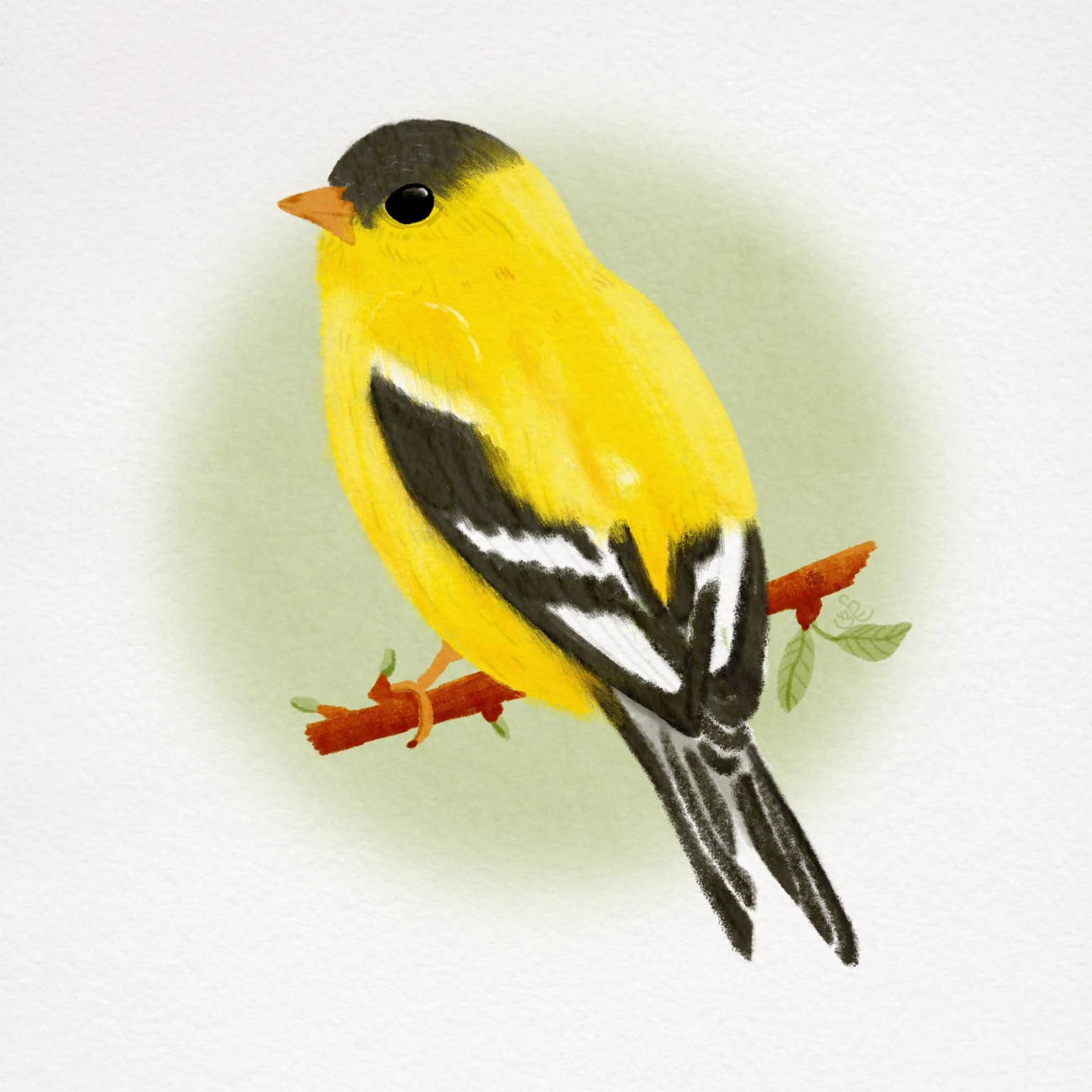 Willow Goldfinch - image 1 - student project