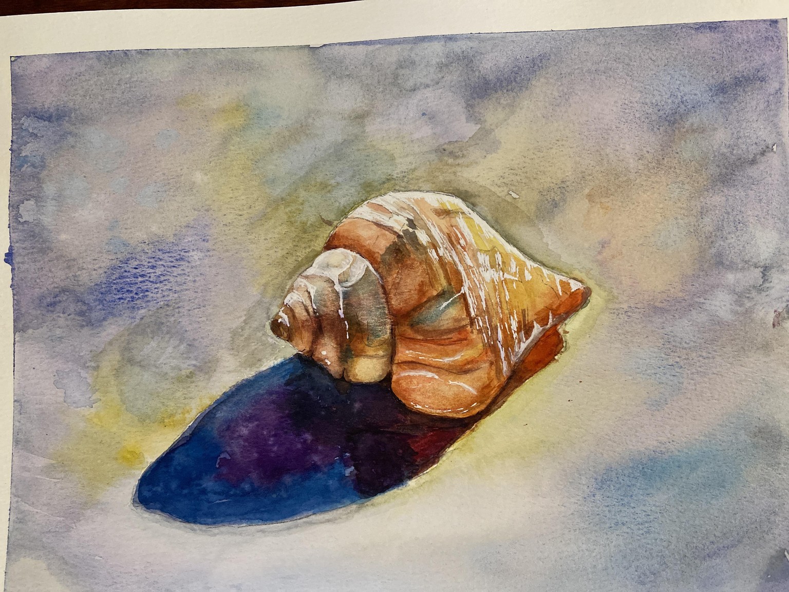 Summer Shell - image 2 - student project