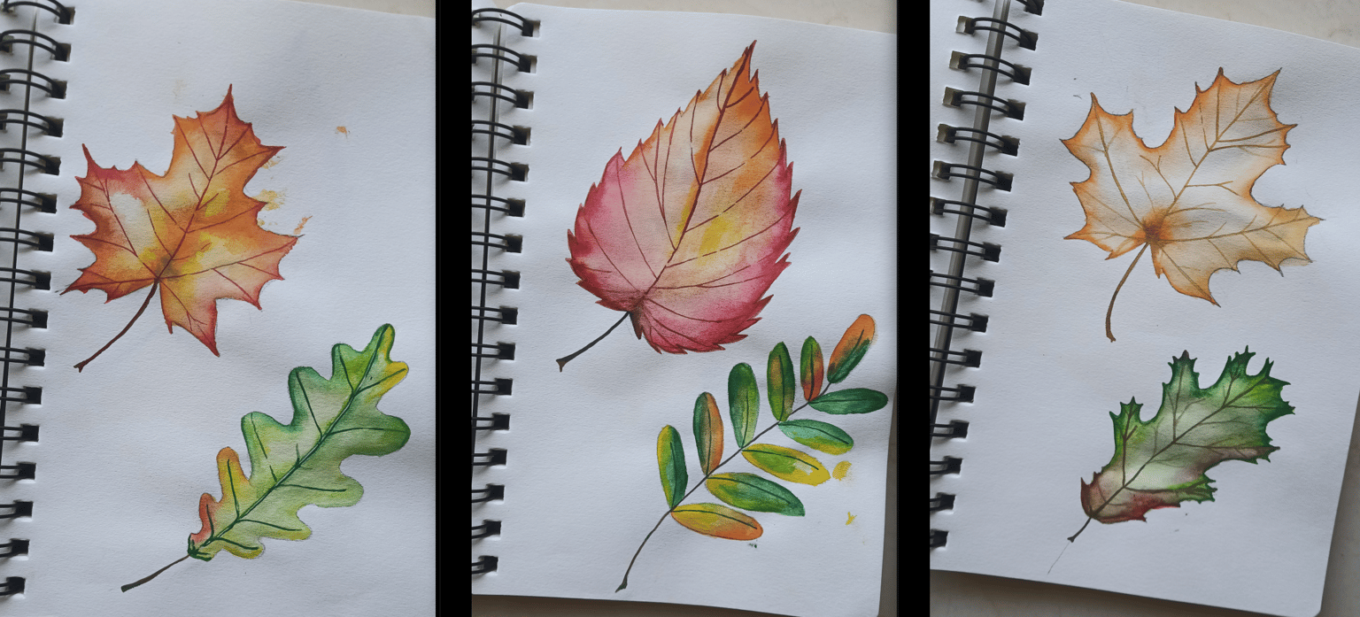 Leaf project - image 1 - student project