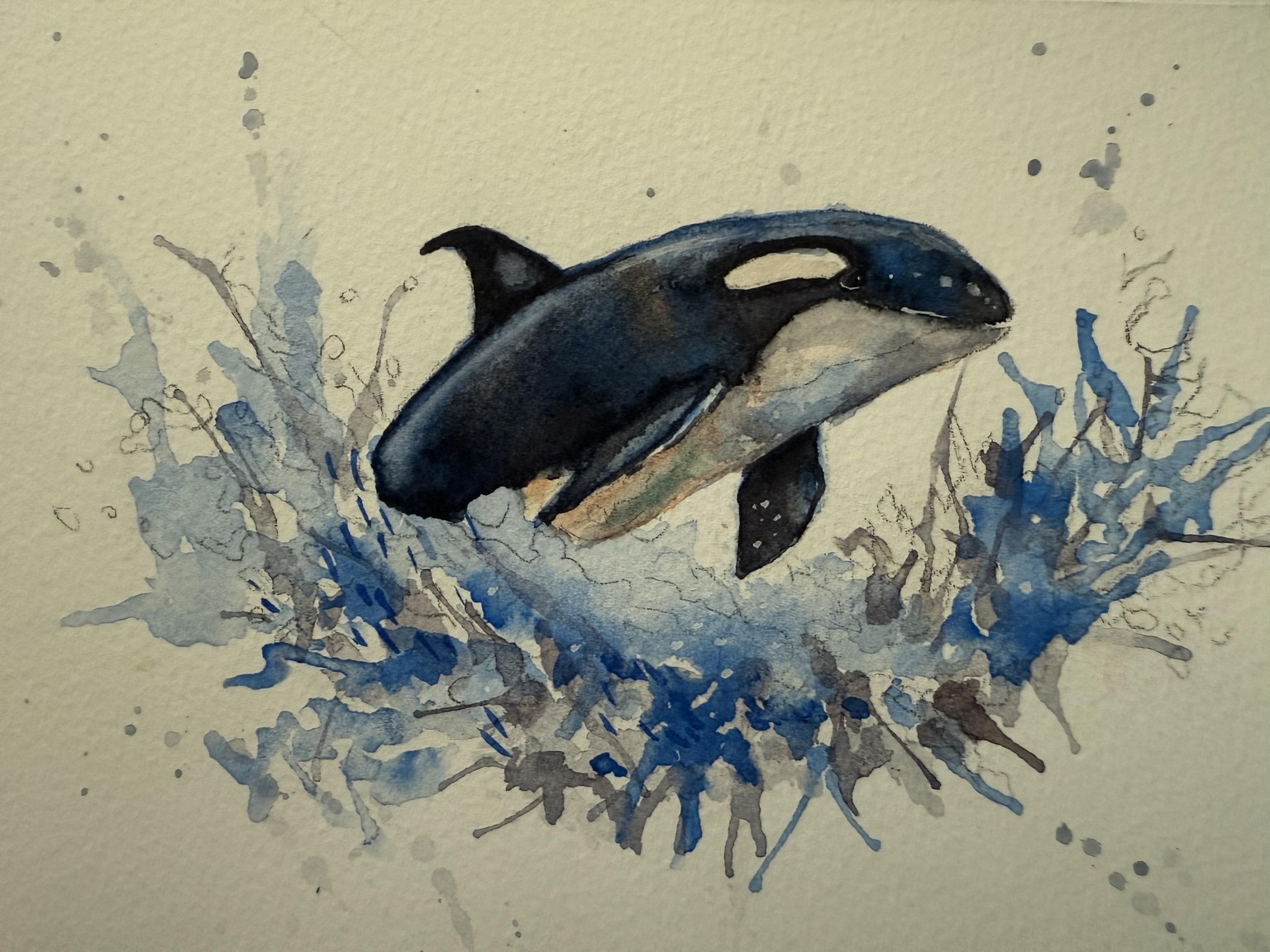Splashy Orca - image 1 - student project